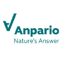 ANP.L