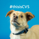 CVSG.L